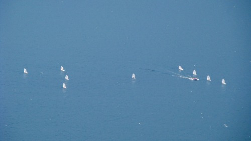 Eine Grupope Segelschüler auf dem Lago di Garda