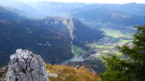 Der nördliche Teil vom Königssee, der Ort Königssee sowie die Bobbahn (Bildmitte)