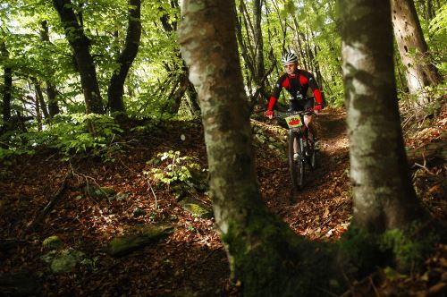 Rocky Mountain BIKE Marathon in Riva del Garda: Trail durch den Wald oberhalb von Arco