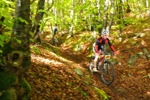 Rocky Mountain BIKE Marathon in Riva del Garda: Trail durch den Wald oberhalb von Arco