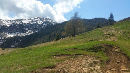 Auf dem Weg zum Monte Altissimo-Gipfel: Ab hier rechts der Wiesen-Trail mit Felsbrocken