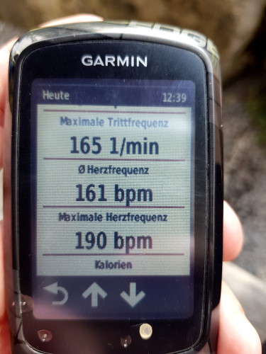 Mit durchschnittlich 161 bpm und 190 bpm maximal war ich ziemlich sportlich unterwegs.