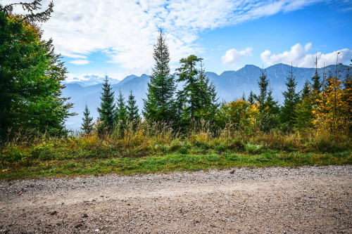 Herbstmarathon Bad Goisern - Impressionen