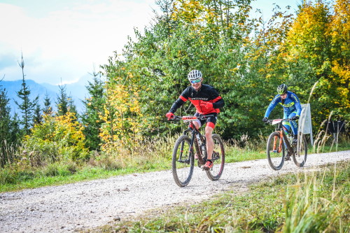 Herbstmarathon Bad Goisern - irgendwo mittendrin: läuft immer noch gut