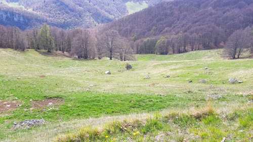 Ein Erdmännchen - auf dem Weg zum Gipfel vom Monte Altissimo