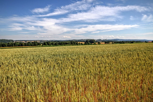 23. Franken Bike Marathon in Trieb - Impressionen: sonniger Race Day und tolle Landschaft